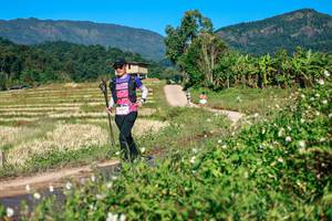 BIB: 
                            <button type="button" onclick="openModal(26728675)" class="btn btn-primary btn-sm float-right btn-popup" data-toggle="modal" data-target=".modal-high-quality">
                        <i class="fas fa-shopping-cart"></i> Add to Cart
                    </button>
                                            <button type="button" onclick="isThisMe(26728675, true)" class="btn btn-success btn-sm float-right btn-popup btn-isme hidden" data-toggle="tooltip" data-placement="bottom" title="นี่คือรูปของคุณใช่ไหม คลิกที่นี่เพื่อเอาเข้าอัลบั้ม">
                        <i class="fas fa-plus"></i> Add to album
                    </button>
                    <button type="button" onclick="isThisMe(26728675, false)" class="btn btn-warning btn-sm float-right btn-popup btn-isnotme hidden">
                        <i class="fas fa-ban"></i> Remove from album
                    </button>