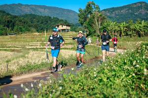 BIB: 
                            <button type="button" onclick="openModal(26728481)" class="btn btn-primary btn-sm float-right btn-popup" data-toggle="modal" data-target=".modal-high-quality">
                        <i class="fas fa-shopping-cart"></i> Add to Cart
                    </button>
                                            <button type="button" onclick="isThisMe(26728481, true)" class="btn btn-success btn-sm float-right btn-popup btn-isme hidden" data-toggle="tooltip" data-placement="bottom" title="นี่คือรูปของคุณใช่ไหม คลิกที่นี่เพื่อเอาเข้าอัลบั้ม">
                        <i class="fas fa-plus"></i> Add to album
                    </button>
                    <button type="button" onclick="isThisMe(26728481, false)" class="btn btn-warning btn-sm float-right btn-popup btn-isnotme hidden">
                        <i class="fas fa-ban"></i> Remove from album
                    </button>