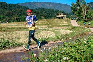 BIB: 
                            <button type="button" onclick="openModal(26728618)" class="btn btn-primary btn-sm float-right btn-popup" data-toggle="modal" data-target=".modal-high-quality">
                        <i class="fas fa-shopping-cart"></i> Add to Cart
                    </button>
                                            <button type="button" onclick="isThisMe(26728618, true)" class="btn btn-success btn-sm float-right btn-popup btn-isme hidden" data-toggle="tooltip" data-placement="bottom" title="นี่คือรูปของคุณใช่ไหม คลิกที่นี่เพื่อเอาเข้าอัลบั้ม">
                        <i class="fas fa-plus"></i> Add to album
                    </button>
                    <button type="button" onclick="isThisMe(26728618, false)" class="btn btn-warning btn-sm float-right btn-popup btn-isnotme hidden">
                        <i class="fas fa-ban"></i> Remove from album
                    </button>