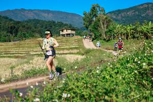 BIB: 
                            <button type="button" onclick="openModal(26683537)" class="btn btn-primary btn-sm float-right btn-popup" data-toggle="modal" data-target=".modal-high-quality">
                        <i class="fas fa-shopping-cart"></i> Add to Cart
                    </button>
                                            <button type="button" onclick="isThisMe(26683537, true)" class="btn btn-success btn-sm float-right btn-popup btn-isme hidden" data-toggle="tooltip" data-placement="bottom" title="นี่คือรูปของคุณใช่ไหม คลิกที่นี่เพื่อเอาเข้าอัลบั้ม">
                        <i class="fas fa-plus"></i> Add to album
                    </button>
                    <button type="button" onclick="isThisMe(26683537, false)" class="btn btn-warning btn-sm float-right btn-popup btn-isnotme hidden">
                        <i class="fas fa-ban"></i> Remove from album
                    </button>