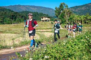 BIB: 
                            <button type="button" onclick="openModal(26683698)" class="btn btn-primary btn-sm float-right btn-popup" data-toggle="modal" data-target=".modal-high-quality">
                        <i class="fas fa-shopping-cart"></i> Add to Cart
                    </button>
                                            <button type="button" onclick="isThisMe(26683698, true)" class="btn btn-success btn-sm float-right btn-popup btn-isme hidden" data-toggle="tooltip" data-placement="bottom" title="นี่คือรูปของคุณใช่ไหม คลิกที่นี่เพื่อเอาเข้าอัลบั้ม">
                        <i class="fas fa-plus"></i> Add to album
                    </button>
                    <button type="button" onclick="isThisMe(26683698, false)" class="btn btn-warning btn-sm float-right btn-popup btn-isnotme hidden">
                        <i class="fas fa-ban"></i> Remove from album
                    </button>