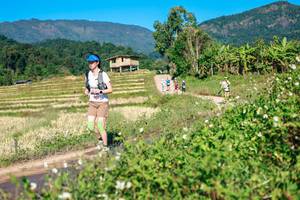 BIB: 
                            <button type="button" onclick="openModal(26683531)" class="btn btn-primary btn-sm float-right btn-popup" data-toggle="modal" data-target=".modal-high-quality">
                        <i class="fas fa-shopping-cart"></i> Add to Cart
                    </button>
                                            <button type="button" onclick="isThisMe(26683531, true)" class="btn btn-success btn-sm float-right btn-popup btn-isme hidden" data-toggle="tooltip" data-placement="bottom" title="นี่คือรูปของคุณใช่ไหม คลิกที่นี่เพื่อเอาเข้าอัลบั้ม">
                        <i class="fas fa-plus"></i> Add to album
                    </button>
                    <button type="button" onclick="isThisMe(26683531, false)" class="btn btn-warning btn-sm float-right btn-popup btn-isnotme hidden">
                        <i class="fas fa-ban"></i> Remove from album
                    </button>