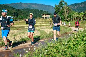 BIB: 
                            <button type="button" onclick="openModal(26728489)" class="btn btn-primary btn-sm float-right btn-popup" data-toggle="modal" data-target=".modal-high-quality">
                        <i class="fas fa-shopping-cart"></i> Add to Cart
                    </button>
                                            <button type="button" onclick="isThisMe(26728489, true)" class="btn btn-success btn-sm float-right btn-popup btn-isme hidden" data-toggle="tooltip" data-placement="bottom" title="นี่คือรูปของคุณใช่ไหม คลิกที่นี่เพื่อเอาเข้าอัลบั้ม">
                        <i class="fas fa-plus"></i> Add to album
                    </button>
                    <button type="button" onclick="isThisMe(26728489, false)" class="btn btn-warning btn-sm float-right btn-popup btn-isnotme hidden">
                        <i class="fas fa-ban"></i> Remove from album
                    </button>