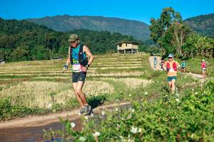 BIB: 
                            <button type="button" onclick="openModal(26728043)" class="btn btn-primary btn-sm float-right btn-popup" data-toggle="modal" data-target=".modal-high-quality">
                        <i class="fas fa-shopping-cart"></i> Add to Cart
                    </button>
                                            <button type="button" onclick="isThisMe(26728043, true)" class="btn btn-success btn-sm float-right btn-popup btn-isme hidden" data-toggle="tooltip" data-placement="bottom" title="นี่คือรูปของคุณใช่ไหม คลิกที่นี่เพื่อเอาเข้าอัลบั้ม">
                        <i class="fas fa-plus"></i> Add to album
                    </button>
                    <button type="button" onclick="isThisMe(26728043, false)" class="btn btn-warning btn-sm float-right btn-popup btn-isnotme hidden">
                        <i class="fas fa-ban"></i> Remove from album
                    </button>