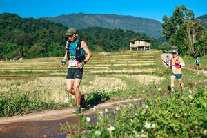 BIB: 
                            <button type="button" onclick="openModal(26728059)" class="btn btn-primary btn-sm float-right btn-popup" data-toggle="modal" data-target=".modal-high-quality">
                        <i class="fas fa-shopping-cart"></i> Add to Cart
                    </button>
                                            <button type="button" onclick="isThisMe(26728059, true)" class="btn btn-success btn-sm float-right btn-popup btn-isme hidden" data-toggle="tooltip" data-placement="bottom" title="นี่คือรูปของคุณใช่ไหม คลิกที่นี่เพื่อเอาเข้าอัลบั้ม">
                        <i class="fas fa-plus"></i> Add to album
                    </button>
                    <button type="button" onclick="isThisMe(26728059, false)" class="btn btn-warning btn-sm float-right btn-popup btn-isnotme hidden">
                        <i class="fas fa-ban"></i> Remove from album
                    </button>