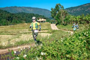 BIB: 
                            <button type="button" onclick="openModal(26727534)" class="btn btn-primary btn-sm float-right btn-popup" data-toggle="modal" data-target=".modal-high-quality">
                        <i class="fas fa-shopping-cart"></i> Add to Cart
                    </button>
                                            <button type="button" onclick="isThisMe(26727534, true)" class="btn btn-success btn-sm float-right btn-popup btn-isme hidden" data-toggle="tooltip" data-placement="bottom" title="นี่คือรูปของคุณใช่ไหม คลิกที่นี่เพื่อเอาเข้าอัลบั้ม">
                        <i class="fas fa-plus"></i> Add to album
                    </button>
                    <button type="button" onclick="isThisMe(26727534, false)" class="btn btn-warning btn-sm float-right btn-popup btn-isnotme hidden">
                        <i class="fas fa-ban"></i> Remove from album
                    </button>