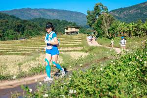 BIB: 
                            <button type="button" onclick="openModal(26683516)" class="btn btn-primary btn-sm float-right btn-popup" data-toggle="modal" data-target=".modal-high-quality">
                        <i class="fas fa-shopping-cart"></i> Add to Cart
                    </button>
                                            <button type="button" onclick="isThisMe(26683516, true)" class="btn btn-success btn-sm float-right btn-popup btn-isme hidden" data-toggle="tooltip" data-placement="bottom" title="นี่คือรูปของคุณใช่ไหม คลิกที่นี่เพื่อเอาเข้าอัลบั้ม">
                        <i class="fas fa-plus"></i> Add to album
                    </button>
                    <button type="button" onclick="isThisMe(26683516, false)" class="btn btn-warning btn-sm float-right btn-popup btn-isnotme hidden">
                        <i class="fas fa-ban"></i> Remove from album
                    </button>