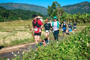 BIB: 
                            <button type="button" onclick="openModal(26728448)" class="btn btn-primary btn-sm float-right btn-popup" data-toggle="modal" data-target=".modal-high-quality">
                        <i class="fas fa-shopping-cart"></i> Add to Cart
                    </button>
                                            <button type="button" onclick="isThisMe(26728448, true)" class="btn btn-success btn-sm float-right btn-popup btn-isme hidden" data-toggle="tooltip" data-placement="bottom" title="นี่คือรูปของคุณใช่ไหม คลิกที่นี่เพื่อเอาเข้าอัลบั้ม">
                        <i class="fas fa-plus"></i> Add to album
                    </button>
                    <button type="button" onclick="isThisMe(26728448, false)" class="btn btn-warning btn-sm float-right btn-popup btn-isnotme hidden">
                        <i class="fas fa-ban"></i> Remove from album
                    </button>