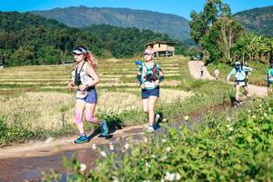 BIB: 
                            <button type="button" onclick="openModal(26728925)" class="btn btn-primary btn-sm float-right btn-popup" data-toggle="modal" data-target=".modal-high-quality">
                        <i class="fas fa-shopping-cart"></i> Add to Cart
                    </button>
                                            <button type="button" onclick="isThisMe(26728925, true)" class="btn btn-success btn-sm float-right btn-popup btn-isme hidden" data-toggle="tooltip" data-placement="bottom" title="นี่คือรูปของคุณใช่ไหม คลิกที่นี่เพื่อเอาเข้าอัลบั้ม">
                        <i class="fas fa-plus"></i> Add to album
                    </button>
                    <button type="button" onclick="isThisMe(26728925, false)" class="btn btn-warning btn-sm float-right btn-popup btn-isnotme hidden">
                        <i class="fas fa-ban"></i> Remove from album
                    </button>