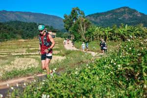 BIB: 
                            <button type="button" onclick="openModal(26683559)" class="btn btn-primary btn-sm float-right btn-popup" data-toggle="modal" data-target=".modal-high-quality">
                        <i class="fas fa-shopping-cart"></i> Add to Cart
                    </button>
                                            <button type="button" onclick="isThisMe(26683559, true)" class="btn btn-success btn-sm float-right btn-popup btn-isme hidden" data-toggle="tooltip" data-placement="bottom" title="นี่คือรูปของคุณใช่ไหม คลิกที่นี่เพื่อเอาเข้าอัลบั้ม">
                        <i class="fas fa-plus"></i> Add to album
                    </button>
                    <button type="button" onclick="isThisMe(26683559, false)" class="btn btn-warning btn-sm float-right btn-popup btn-isnotme hidden">
                        <i class="fas fa-ban"></i> Remove from album
                    </button>