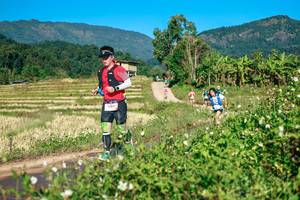 BIB: 
                            <button type="button" onclick="openModal(26727981)" class="btn btn-primary btn-sm float-right btn-popup" data-toggle="modal" data-target=".modal-high-quality">
                        <i class="fas fa-shopping-cart"></i> Add to Cart
                    </button>
                                            <button type="button" onclick="isThisMe(26727981, true)" class="btn btn-success btn-sm float-right btn-popup btn-isme hidden" data-toggle="tooltip" data-placement="bottom" title="นี่คือรูปของคุณใช่ไหม คลิกที่นี่เพื่อเอาเข้าอัลบั้ม">
                        <i class="fas fa-plus"></i> Add to album
                    </button>
                    <button type="button" onclick="isThisMe(26727981, false)" class="btn btn-warning btn-sm float-right btn-popup btn-isnotme hidden">
                        <i class="fas fa-ban"></i> Remove from album
                    </button>