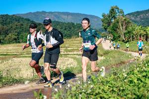 BIB: 
                            <button type="button" onclick="openModal(26729057)" class="btn btn-primary btn-sm float-right btn-popup" data-toggle="modal" data-target=".modal-high-quality">
                        <i class="fas fa-shopping-cart"></i> Add to Cart
                    </button>
                                            <button type="button" onclick="isThisMe(26729057, true)" class="btn btn-success btn-sm float-right btn-popup btn-isme hidden" data-toggle="tooltip" data-placement="bottom" title="นี่คือรูปของคุณใช่ไหม คลิกที่นี่เพื่อเอาเข้าอัลบั้ม">
                        <i class="fas fa-plus"></i> Add to album
                    </button>
                    <button type="button" onclick="isThisMe(26729057, false)" class="btn btn-warning btn-sm float-right btn-popup btn-isnotme hidden">
                        <i class="fas fa-ban"></i> Remove from album
                    </button>