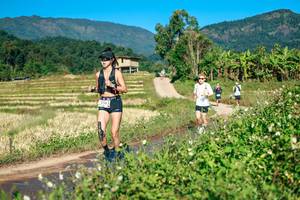 BIB: 
                            <button type="button" onclick="openModal(26728522)" class="btn btn-primary btn-sm float-right btn-popup" data-toggle="modal" data-target=".modal-high-quality">
                        <i class="fas fa-shopping-cart"></i> Add to Cart
                    </button>
                                            <button type="button" onclick="isThisMe(26728522, true)" class="btn btn-success btn-sm float-right btn-popup btn-isme hidden" data-toggle="tooltip" data-placement="bottom" title="นี่คือรูปของคุณใช่ไหม คลิกที่นี่เพื่อเอาเข้าอัลบั้ม">
                        <i class="fas fa-plus"></i> Add to album
                    </button>
                    <button type="button" onclick="isThisMe(26728522, false)" class="btn btn-warning btn-sm float-right btn-popup btn-isnotme hidden">
                        <i class="fas fa-ban"></i> Remove from album
                    </button>