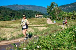 BIB: 
                            <button type="button" onclick="openModal(26683549)" class="btn btn-primary btn-sm float-right btn-popup" data-toggle="modal" data-target=".modal-high-quality">
                        <i class="fas fa-shopping-cart"></i> Add to Cart
                    </button>
                                            <button type="button" onclick="isThisMe(26683549, true)" class="btn btn-success btn-sm float-right btn-popup btn-isme hidden" data-toggle="tooltip" data-placement="bottom" title="นี่คือรูปของคุณใช่ไหม คลิกที่นี่เพื่อเอาเข้าอัลบั้ม">
                        <i class="fas fa-plus"></i> Add to album
                    </button>
                    <button type="button" onclick="isThisMe(26683549, false)" class="btn btn-warning btn-sm float-right btn-popup btn-isnotme hidden">
                        <i class="fas fa-ban"></i> Remove from album
                    </button>