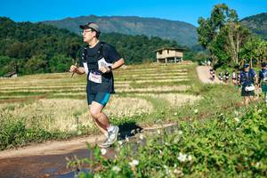 BIB: 
                            <button type="button" onclick="openModal(26727809)" class="btn btn-primary btn-sm float-right btn-popup" data-toggle="modal" data-target=".modal-high-quality">
                        <i class="fas fa-shopping-cart"></i> Add to Cart
                    </button>
                                            <button type="button" onclick="isThisMe(26727809, true)" class="btn btn-success btn-sm float-right btn-popup btn-isme hidden" data-toggle="tooltip" data-placement="bottom" title="นี่คือรูปของคุณใช่ไหม คลิกที่นี่เพื่อเอาเข้าอัลบั้ม">
                        <i class="fas fa-plus"></i> Add to album
                    </button>
                    <button type="button" onclick="isThisMe(26727809, false)" class="btn btn-warning btn-sm float-right btn-popup btn-isnotme hidden">
                        <i class="fas fa-ban"></i> Remove from album
                    </button>