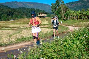 BIB: 
                            <button type="button" onclick="openModal(26728705)" class="btn btn-primary btn-sm float-right btn-popup" data-toggle="modal" data-target=".modal-high-quality">
                        <i class="fas fa-shopping-cart"></i> Add to Cart
                    </button>
                                            <button type="button" onclick="isThisMe(26728705, true)" class="btn btn-success btn-sm float-right btn-popup btn-isme hidden" data-toggle="tooltip" data-placement="bottom" title="นี่คือรูปของคุณใช่ไหม คลิกที่นี่เพื่อเอาเข้าอัลบั้ม">
                        <i class="fas fa-plus"></i> Add to album
                    </button>
                    <button type="button" onclick="isThisMe(26728705, false)" class="btn btn-warning btn-sm float-right btn-popup btn-isnotme hidden">
                        <i class="fas fa-ban"></i> Remove from album
                    </button>