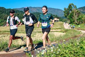 BIB: 
                            <button type="button" onclick="openModal(26729060)" class="btn btn-primary btn-sm float-right btn-popup" data-toggle="modal" data-target=".modal-high-quality">
                        <i class="fas fa-shopping-cart"></i> Add to Cart
                    </button>
                                            <button type="button" onclick="isThisMe(26729060, true)" class="btn btn-success btn-sm float-right btn-popup btn-isme hidden" data-toggle="tooltip" data-placement="bottom" title="นี่คือรูปของคุณใช่ไหม คลิกที่นี่เพื่อเอาเข้าอัลบั้ม">
                        <i class="fas fa-plus"></i> Add to album
                    </button>
                    <button type="button" onclick="isThisMe(26729060, false)" class="btn btn-warning btn-sm float-right btn-popup btn-isnotme hidden">
                        <i class="fas fa-ban"></i> Remove from album
                    </button>