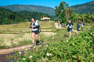 BIB: 
                            <button type="button" onclick="openModal(26727762)" class="btn btn-primary btn-sm float-right btn-popup" data-toggle="modal" data-target=".modal-high-quality">
                        <i class="fas fa-shopping-cart"></i> Add to Cart
                    </button>
                                            <button type="button" onclick="isThisMe(26727762, true)" class="btn btn-success btn-sm float-right btn-popup btn-isme hidden" data-toggle="tooltip" data-placement="bottom" title="นี่คือรูปของคุณใช่ไหม คลิกที่นี่เพื่อเอาเข้าอัลบั้ม">
                        <i class="fas fa-plus"></i> Add to album
                    </button>
                    <button type="button" onclick="isThisMe(26727762, false)" class="btn btn-warning btn-sm float-right btn-popup btn-isnotme hidden">
                        <i class="fas fa-ban"></i> Remove from album
                    </button>