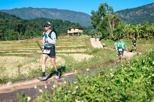 BIB: 
                            <button type="button" onclick="openModal(26728943)" class="btn btn-primary btn-sm float-right btn-popup" data-toggle="modal" data-target=".modal-high-quality">
                        <i class="fas fa-shopping-cart"></i> Add to Cart
                    </button>
                                            <button type="button" onclick="isThisMe(26728943, true)" class="btn btn-success btn-sm float-right btn-popup btn-isme hidden" data-toggle="tooltip" data-placement="bottom" title="นี่คือรูปของคุณใช่ไหม คลิกที่นี่เพื่อเอาเข้าอัลบั้ม">
                        <i class="fas fa-plus"></i> Add to album
                    </button>
                    <button type="button" onclick="isThisMe(26728943, false)" class="btn btn-warning btn-sm float-right btn-popup btn-isnotme hidden">
                        <i class="fas fa-ban"></i> Remove from album
                    </button>