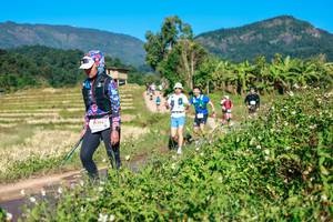 BIB: 
                            <button type="button" onclick="openModal(26683608)" class="btn btn-primary btn-sm float-right btn-popup" data-toggle="modal" data-target=".modal-high-quality">
                        <i class="fas fa-shopping-cart"></i> Add to Cart
                    </button>
                                            <button type="button" onclick="isThisMe(26683608, true)" class="btn btn-success btn-sm float-right btn-popup btn-isme hidden" data-toggle="tooltip" data-placement="bottom" title="นี่คือรูปของคุณใช่ไหม คลิกที่นี่เพื่อเอาเข้าอัลบั้ม">
                        <i class="fas fa-plus"></i> Add to album
                    </button>
                    <button type="button" onclick="isThisMe(26683608, false)" class="btn btn-warning btn-sm float-right btn-popup btn-isnotme hidden">
                        <i class="fas fa-ban"></i> Remove from album
                    </button>