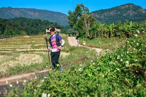 BIB: 
                            <button type="button" onclick="openModal(26728666)" class="btn btn-primary btn-sm float-right btn-popup" data-toggle="modal" data-target=".modal-high-quality">
                        <i class="fas fa-shopping-cart"></i> Add to Cart
                    </button>
                                            <button type="button" onclick="isThisMe(26728666, true)" class="btn btn-success btn-sm float-right btn-popup btn-isme hidden" data-toggle="tooltip" data-placement="bottom" title="นี่คือรูปของคุณใช่ไหม คลิกที่นี่เพื่อเอาเข้าอัลบั้ม">
                        <i class="fas fa-plus"></i> Add to album
                    </button>
                    <button type="button" onclick="isThisMe(26728666, false)" class="btn btn-warning btn-sm float-right btn-popup btn-isnotme hidden">
                        <i class="fas fa-ban"></i> Remove from album
                    </button>