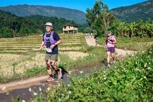 BIB: 
                            <button type="button" onclick="openModal(26728772)" class="btn btn-primary btn-sm float-right btn-popup" data-toggle="modal" data-target=".modal-high-quality">
                        <i class="fas fa-shopping-cart"></i> Add to Cart
                    </button>
                                            <button type="button" onclick="isThisMe(26728772, true)" class="btn btn-success btn-sm float-right btn-popup btn-isme hidden" data-toggle="tooltip" data-placement="bottom" title="นี่คือรูปของคุณใช่ไหม คลิกที่นี่เพื่อเอาเข้าอัลบั้ม">
                        <i class="fas fa-plus"></i> Add to album
                    </button>
                    <button type="button" onclick="isThisMe(26728772, false)" class="btn btn-warning btn-sm float-right btn-popup btn-isnotme hidden">
                        <i class="fas fa-ban"></i> Remove from album
                    </button>