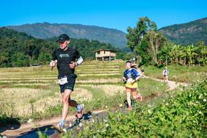 BIB: 
                            <button type="button" onclick="openModal(26684593)" class="btn btn-primary btn-sm float-right btn-popup" data-toggle="modal" data-target=".modal-high-quality">
                        <i class="fas fa-shopping-cart"></i> Add to Cart
                    </button>
                                            <button type="button" onclick="isThisMe(26684593, true)" class="btn btn-success btn-sm float-right btn-popup btn-isme hidden" data-toggle="tooltip" data-placement="bottom" title="นี่คือรูปของคุณใช่ไหม คลิกที่นี่เพื่อเอาเข้าอัลบั้ม">
                        <i class="fas fa-plus"></i> Add to album
                    </button>
                    <button type="button" onclick="isThisMe(26684593, false)" class="btn btn-warning btn-sm float-right btn-popup btn-isnotme hidden">
                        <i class="fas fa-ban"></i> Remove from album
                    </button>