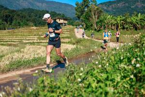 BIB: 
                            <button type="button" onclick="openModal(26685239)" class="btn btn-primary btn-sm float-right btn-popup" data-toggle="modal" data-target=".modal-high-quality">
                        <i class="fas fa-shopping-cart"></i> Add to Cart
                    </button>
                                            <button type="button" onclick="isThisMe(26685239, true)" class="btn btn-success btn-sm float-right btn-popup btn-isme hidden" data-toggle="tooltip" data-placement="bottom" title="นี่คือรูปของคุณใช่ไหม คลิกที่นี่เพื่อเอาเข้าอัลบั้ม">
                        <i class="fas fa-plus"></i> Add to album
                    </button>
                    <button type="button" onclick="isThisMe(26685239, false)" class="btn btn-warning btn-sm float-right btn-popup btn-isnotme hidden">
                        <i class="fas fa-ban"></i> Remove from album
                    </button>