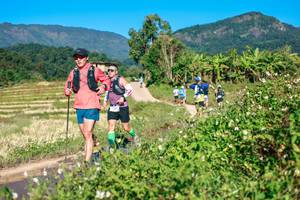 BIB: 
                            <button type="button" onclick="openModal(26684353)" class="btn btn-primary btn-sm float-right btn-popup" data-toggle="modal" data-target=".modal-high-quality">
                        <i class="fas fa-shopping-cart"></i> Add to Cart
                    </button>
                                            <button type="button" onclick="isThisMe(26684353, true)" class="btn btn-success btn-sm float-right btn-popup btn-isme hidden" data-toggle="tooltip" data-placement="bottom" title="นี่คือรูปของคุณใช่ไหม คลิกที่นี่เพื่อเอาเข้าอัลบั้ม">
                        <i class="fas fa-plus"></i> Add to album
                    </button>
                    <button type="button" onclick="isThisMe(26684353, false)" class="btn btn-warning btn-sm float-right btn-popup btn-isnotme hidden">
                        <i class="fas fa-ban"></i> Remove from album
                    </button>