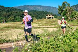 BIB: 
                            <button type="button" onclick="openModal(26684858)" class="btn btn-primary btn-sm float-right btn-popup" data-toggle="modal" data-target=".modal-high-quality">
                        <i class="fas fa-shopping-cart"></i> Add to Cart
                    </button>
                                            <button type="button" onclick="isThisMe(26684858, true)" class="btn btn-success btn-sm float-right btn-popup btn-isme hidden" data-toggle="tooltip" data-placement="bottom" title="นี่คือรูปของคุณใช่ไหม คลิกที่นี่เพื่อเอาเข้าอัลบั้ม">
                        <i class="fas fa-plus"></i> Add to album
                    </button>
                    <button type="button" onclick="isThisMe(26684858, false)" class="btn btn-warning btn-sm float-right btn-popup btn-isnotme hidden">
                        <i class="fas fa-ban"></i> Remove from album
                    </button>