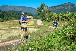 BIB: 
                            <button type="button" onclick="openModal(26684358)" class="btn btn-primary btn-sm float-right btn-popup" data-toggle="modal" data-target=".modal-high-quality">
                        <i class="fas fa-shopping-cart"></i> Add to Cart
                    </button>
                                            <button type="button" onclick="isThisMe(26684358, true)" class="btn btn-success btn-sm float-right btn-popup btn-isme hidden" data-toggle="tooltip" data-placement="bottom" title="นี่คือรูปของคุณใช่ไหม คลิกที่นี่เพื่อเอาเข้าอัลบั้ม">
                        <i class="fas fa-plus"></i> Add to album
                    </button>
                    <button type="button" onclick="isThisMe(26684358, false)" class="btn btn-warning btn-sm float-right btn-popup btn-isnotme hidden">
                        <i class="fas fa-ban"></i> Remove from album
                    </button>