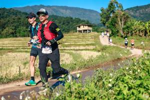 BIB: 
                            <button type="button" onclick="openModal(26685531)" class="btn btn-primary btn-sm float-right btn-popup" data-toggle="modal" data-target=".modal-high-quality">
                        <i class="fas fa-shopping-cart"></i> Add to Cart
                    </button>
                                            <button type="button" onclick="isThisMe(26685531, true)" class="btn btn-success btn-sm float-right btn-popup btn-isme hidden" data-toggle="tooltip" data-placement="bottom" title="นี่คือรูปของคุณใช่ไหม คลิกที่นี่เพื่อเอาเข้าอัลบั้ม">
                        <i class="fas fa-plus"></i> Add to album
                    </button>
                    <button type="button" onclick="isThisMe(26685531, false)" class="btn btn-warning btn-sm float-right btn-popup btn-isnotme hidden">
                        <i class="fas fa-ban"></i> Remove from album
                    </button>