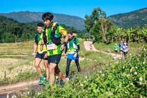 BIB: 
                            <button type="button" onclick="openModal(26684756)" class="btn btn-primary btn-sm float-right btn-popup" data-toggle="modal" data-target=".modal-high-quality">
                        <i class="fas fa-shopping-cart"></i> Add to Cart
                    </button>
                                            <button type="button" onclick="isThisMe(26684756, true)" class="btn btn-success btn-sm float-right btn-popup btn-isme hidden" data-toggle="tooltip" data-placement="bottom" title="นี่คือรูปของคุณใช่ไหม คลิกที่นี่เพื่อเอาเข้าอัลบั้ม">
                        <i class="fas fa-plus"></i> Add to album
                    </button>
                    <button type="button" onclick="isThisMe(26684756, false)" class="btn btn-warning btn-sm float-right btn-popup btn-isnotme hidden">
                        <i class="fas fa-ban"></i> Remove from album
                    </button>