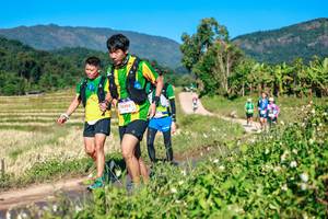 BIB: 
                            <button type="button" onclick="openModal(26684754)" class="btn btn-primary btn-sm float-right btn-popup" data-toggle="modal" data-target=".modal-high-quality">
                        <i class="fas fa-shopping-cart"></i> Add to Cart
                    </button>
                                            <button type="button" onclick="isThisMe(26684754, true)" class="btn btn-success btn-sm float-right btn-popup btn-isme hidden" data-toggle="tooltip" data-placement="bottom" title="นี่คือรูปของคุณใช่ไหม คลิกที่นี่เพื่อเอาเข้าอัลบั้ม">
                        <i class="fas fa-plus"></i> Add to album
                    </button>
                    <button type="button" onclick="isThisMe(26684754, false)" class="btn btn-warning btn-sm float-right btn-popup btn-isnotme hidden">
                        <i class="fas fa-ban"></i> Remove from album
                    </button>