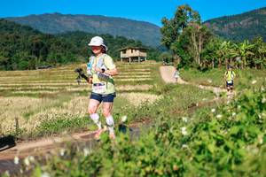 BIB: 
                            <button type="button" onclick="openModal(26685697)" class="btn btn-primary btn-sm float-right btn-popup" data-toggle="modal" data-target=".modal-high-quality">
                        <i class="fas fa-shopping-cart"></i> Add to Cart
                    </button>
                                            <button type="button" onclick="isThisMe(26685697, true)" class="btn btn-success btn-sm float-right btn-popup btn-isme hidden" data-toggle="tooltip" data-placement="bottom" title="นี่คือรูปของคุณใช่ไหม คลิกที่นี่เพื่อเอาเข้าอัลบั้ม">
                        <i class="fas fa-plus"></i> Add to album
                    </button>
                    <button type="button" onclick="isThisMe(26685697, false)" class="btn btn-warning btn-sm float-right btn-popup btn-isnotme hidden">
                        <i class="fas fa-ban"></i> Remove from album
                    </button>