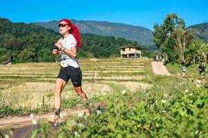 BIB: 
                            <button type="button" onclick="openModal(26684817)" class="btn btn-primary btn-sm float-right btn-popup" data-toggle="modal" data-target=".modal-high-quality">
                        <i class="fas fa-shopping-cart"></i> Add to Cart
                    </button>
                                            <button type="button" onclick="isThisMe(26684817, true)" class="btn btn-success btn-sm float-right btn-popup btn-isme hidden" data-toggle="tooltip" data-placement="bottom" title="นี่คือรูปของคุณใช่ไหม คลิกที่นี่เพื่อเอาเข้าอัลบั้ม">
                        <i class="fas fa-plus"></i> Add to album
                    </button>
                    <button type="button" onclick="isThisMe(26684817, false)" class="btn btn-warning btn-sm float-right btn-popup btn-isnotme hidden">
                        <i class="fas fa-ban"></i> Remove from album
                    </button>