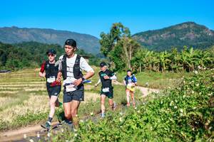 BIB: 
                            <button type="button" onclick="openModal(26684576)" class="btn btn-primary btn-sm float-right btn-popup" data-toggle="modal" data-target=".modal-high-quality">
                        <i class="fas fa-shopping-cart"></i> Add to Cart
                    </button>
                                            <button type="button" onclick="isThisMe(26684576, true)" class="btn btn-success btn-sm float-right btn-popup btn-isme hidden" data-toggle="tooltip" data-placement="bottom" title="นี่คือรูปของคุณใช่ไหม คลิกที่นี่เพื่อเอาเข้าอัลบั้ม">
                        <i class="fas fa-plus"></i> Add to album
                    </button>
                    <button type="button" onclick="isThisMe(26684576, false)" class="btn btn-warning btn-sm float-right btn-popup btn-isnotme hidden">
                        <i class="fas fa-ban"></i> Remove from album
                    </button>