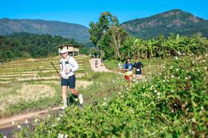 BIB: 
                            <button type="button" onclick="openModal(26684702)" class="btn btn-primary btn-sm float-right btn-popup" data-toggle="modal" data-target=".modal-high-quality">
                        <i class="fas fa-shopping-cart"></i> Add to Cart
                    </button>
                                            <button type="button" onclick="isThisMe(26684702, true)" class="btn btn-success btn-sm float-right btn-popup btn-isme hidden" data-toggle="tooltip" data-placement="bottom" title="นี่คือรูปของคุณใช่ไหม คลิกที่นี่เพื่อเอาเข้าอัลบั้ม">
                        <i class="fas fa-plus"></i> Add to album
                    </button>
                    <button type="button" onclick="isThisMe(26684702, false)" class="btn btn-warning btn-sm float-right btn-popup btn-isnotme hidden">
                        <i class="fas fa-ban"></i> Remove from album
                    </button>