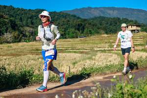 BIB: 
                            <button type="button" onclick="openModal(26685583)" class="btn btn-primary btn-sm float-right btn-popup" data-toggle="modal" data-target=".modal-high-quality">
                        <i class="fas fa-shopping-cart"></i> Add to Cart
                    </button>
                                            <button type="button" onclick="isThisMe(26685583, true)" class="btn btn-success btn-sm float-right btn-popup btn-isme hidden" data-toggle="tooltip" data-placement="bottom" title="นี่คือรูปของคุณใช่ไหม คลิกที่นี่เพื่อเอาเข้าอัลบั้ม">
                        <i class="fas fa-plus"></i> Add to album
                    </button>
                    <button type="button" onclick="isThisMe(26685583, false)" class="btn btn-warning btn-sm float-right btn-popup btn-isnotme hidden">
                        <i class="fas fa-ban"></i> Remove from album
                    </button>