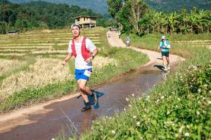 BIB: 
                            <button type="button" onclick="openModal(26685920)" class="btn btn-primary btn-sm float-right btn-popup" data-toggle="modal" data-target=".modal-high-quality">
                        <i class="fas fa-shopping-cart"></i> Add to Cart
                    </button>
                                            <button type="button" onclick="isThisMe(26685920, true)" class="btn btn-success btn-sm float-right btn-popup btn-isme hidden" data-toggle="tooltip" data-placement="bottom" title="นี่คือรูปของคุณใช่ไหม คลิกที่นี่เพื่อเอาเข้าอัลบั้ม">
                        <i class="fas fa-plus"></i> Add to album
                    </button>
                    <button type="button" onclick="isThisMe(26685920, false)" class="btn btn-warning btn-sm float-right btn-popup btn-isnotme hidden">
                        <i class="fas fa-ban"></i> Remove from album
                    </button>