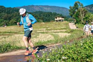 BIB: 
                            <button type="button" onclick="openModal(26684461)" class="btn btn-primary btn-sm float-right btn-popup" data-toggle="modal" data-target=".modal-high-quality">
                        <i class="fas fa-shopping-cart"></i> Add to Cart
                    </button>
                                            <button type="button" onclick="isThisMe(26684461, true)" class="btn btn-success btn-sm float-right btn-popup btn-isme hidden" data-toggle="tooltip" data-placement="bottom" title="นี่คือรูปของคุณใช่ไหม คลิกที่นี่เพื่อเอาเข้าอัลบั้ม">
                        <i class="fas fa-plus"></i> Add to album
                    </button>
                    <button type="button" onclick="isThisMe(26684461, false)" class="btn btn-warning btn-sm float-right btn-popup btn-isnotme hidden">
                        <i class="fas fa-ban"></i> Remove from album
                    </button>