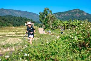 BIB: 
                            <button type="button" onclick="openModal(26684681)" class="btn btn-primary btn-sm float-right btn-popup" data-toggle="modal" data-target=".modal-high-quality">
                        <i class="fas fa-shopping-cart"></i> Add to Cart
                    </button>
                                            <button type="button" onclick="isThisMe(26684681, true)" class="btn btn-success btn-sm float-right btn-popup btn-isme hidden" data-toggle="tooltip" data-placement="bottom" title="นี่คือรูปของคุณใช่ไหม คลิกที่นี่เพื่อเอาเข้าอัลบั้ม">
                        <i class="fas fa-plus"></i> Add to album
                    </button>
                    <button type="button" onclick="isThisMe(26684681, false)" class="btn btn-warning btn-sm float-right btn-popup btn-isnotme hidden">
                        <i class="fas fa-ban"></i> Remove from album
                    </button>