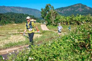 BIB: 
                            <button type="button" onclick="openModal(26684494)" class="btn btn-primary btn-sm float-right btn-popup" data-toggle="modal" data-target=".modal-high-quality">
                        <i class="fas fa-shopping-cart"></i> Add to Cart
                    </button>
                                            <button type="button" onclick="isThisMe(26684494, true)" class="btn btn-success btn-sm float-right btn-popup btn-isme hidden" data-toggle="tooltip" data-placement="bottom" title="นี่คือรูปของคุณใช่ไหม คลิกที่นี่เพื่อเอาเข้าอัลบั้ม">
                        <i class="fas fa-plus"></i> Add to album
                    </button>
                    <button type="button" onclick="isThisMe(26684494, false)" class="btn btn-warning btn-sm float-right btn-popup btn-isnotme hidden">
                        <i class="fas fa-ban"></i> Remove from album
                    </button>