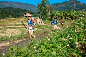 BIB: 
                            <button type="button" onclick="openModal(26685469)" class="btn btn-primary btn-sm float-right btn-popup" data-toggle="modal" data-target=".modal-high-quality">
                        <i class="fas fa-shopping-cart"></i> Add to Cart
                    </button>
                                            <button type="button" onclick="isThisMe(26685469, true)" class="btn btn-success btn-sm float-right btn-popup btn-isme hidden" data-toggle="tooltip" data-placement="bottom" title="นี่คือรูปของคุณใช่ไหม คลิกที่นี่เพื่อเอาเข้าอัลบั้ม">
                        <i class="fas fa-plus"></i> Add to album
                    </button>
                    <button type="button" onclick="isThisMe(26685469, false)" class="btn btn-warning btn-sm float-right btn-popup btn-isnotme hidden">
                        <i class="fas fa-ban"></i> Remove from album
                    </button>