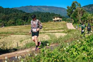 BIB: 
                            <button type="button" onclick="openModal(26685753)" class="btn btn-primary btn-sm float-right btn-popup" data-toggle="modal" data-target=".modal-high-quality">
                        <i class="fas fa-shopping-cart"></i> Add to Cart
                    </button>
                                            <button type="button" onclick="isThisMe(26685753, true)" class="btn btn-success btn-sm float-right btn-popup btn-isme hidden" data-toggle="tooltip" data-placement="bottom" title="นี่คือรูปของคุณใช่ไหม คลิกที่นี่เพื่อเอาเข้าอัลบั้ม">
                        <i class="fas fa-plus"></i> Add to album
                    </button>
                    <button type="button" onclick="isThisMe(26685753, false)" class="btn btn-warning btn-sm float-right btn-popup btn-isnotme hidden">
                        <i class="fas fa-ban"></i> Remove from album
                    </button>