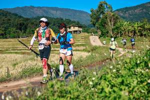 BIB: 
                            <button type="button" onclick="openModal(26685631)" class="btn btn-primary btn-sm float-right btn-popup" data-toggle="modal" data-target=".modal-high-quality">
                        <i class="fas fa-shopping-cart"></i> Add to Cart
                    </button>
                                            <button type="button" onclick="isThisMe(26685631, true)" class="btn btn-success btn-sm float-right btn-popup btn-isme hidden" data-toggle="tooltip" data-placement="bottom" title="นี่คือรูปของคุณใช่ไหม คลิกที่นี่เพื่อเอาเข้าอัลบั้ม">
                        <i class="fas fa-plus"></i> Add to album
                    </button>
                    <button type="button" onclick="isThisMe(26685631, false)" class="btn btn-warning btn-sm float-right btn-popup btn-isnotme hidden">
                        <i class="fas fa-ban"></i> Remove from album
                    </button>