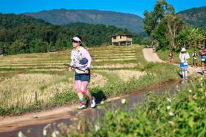 BIB: 
                            <button type="button" onclick="openModal(26685569)" class="btn btn-primary btn-sm float-right btn-popup" data-toggle="modal" data-target=".modal-high-quality">
                        <i class="fas fa-shopping-cart"></i> Add to Cart
                    </button>
                                            <button type="button" onclick="isThisMe(26685569, true)" class="btn btn-success btn-sm float-right btn-popup btn-isme hidden" data-toggle="tooltip" data-placement="bottom" title="นี่คือรูปของคุณใช่ไหม คลิกที่นี่เพื่อเอาเข้าอัลบั้ม">
                        <i class="fas fa-plus"></i> Add to album
                    </button>
                    <button type="button" onclick="isThisMe(26685569, false)" class="btn btn-warning btn-sm float-right btn-popup btn-isnotme hidden">
                        <i class="fas fa-ban"></i> Remove from album
                    </button>