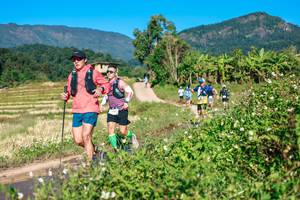 BIB: 
                            <button type="button" onclick="openModal(26684355)" class="btn btn-primary btn-sm float-right btn-popup" data-toggle="modal" data-target=".modal-high-quality">
                        <i class="fas fa-shopping-cart"></i> Add to Cart
                    </button>
                                            <button type="button" onclick="isThisMe(26684355, true)" class="btn btn-success btn-sm float-right btn-popup btn-isme hidden" data-toggle="tooltip" data-placement="bottom" title="นี่คือรูปของคุณใช่ไหม คลิกที่นี่เพื่อเอาเข้าอัลบั้ม">
                        <i class="fas fa-plus"></i> Add to album
                    </button>
                    <button type="button" onclick="isThisMe(26684355, false)" class="btn btn-warning btn-sm float-right btn-popup btn-isnotme hidden">
                        <i class="fas fa-ban"></i> Remove from album
                    </button>