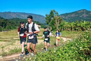 BIB: 
                            <button type="button" onclick="openModal(26684581)" class="btn btn-primary btn-sm float-right btn-popup" data-toggle="modal" data-target=".modal-high-quality">
                        <i class="fas fa-shopping-cart"></i> Add to Cart
                    </button>
                                            <button type="button" onclick="isThisMe(26684581, true)" class="btn btn-success btn-sm float-right btn-popup btn-isme hidden" data-toggle="tooltip" data-placement="bottom" title="นี่คือรูปของคุณใช่ไหม คลิกที่นี่เพื่อเอาเข้าอัลบั้ม">
                        <i class="fas fa-plus"></i> Add to album
                    </button>
                    <button type="button" onclick="isThisMe(26684581, false)" class="btn btn-warning btn-sm float-right btn-popup btn-isnotme hidden">
                        <i class="fas fa-ban"></i> Remove from album
                    </button>