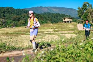 BIB: 
                            <button type="button" onclick="openModal(26684883)" class="btn btn-primary btn-sm float-right btn-popup" data-toggle="modal" data-target=".modal-high-quality">
                        <i class="fas fa-shopping-cart"></i> Add to Cart
                    </button>
                                            <button type="button" onclick="isThisMe(26684883, true)" class="btn btn-success btn-sm float-right btn-popup btn-isme hidden" data-toggle="tooltip" data-placement="bottom" title="นี่คือรูปของคุณใช่ไหม คลิกที่นี่เพื่อเอาเข้าอัลบั้ม">
                        <i class="fas fa-plus"></i> Add to album
                    </button>
                    <button type="button" onclick="isThisMe(26684883, false)" class="btn btn-warning btn-sm float-right btn-popup btn-isnotme hidden">
                        <i class="fas fa-ban"></i> Remove from album
                    </button>